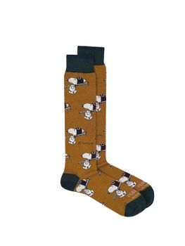 Socks In The Box Snoopy Giallo