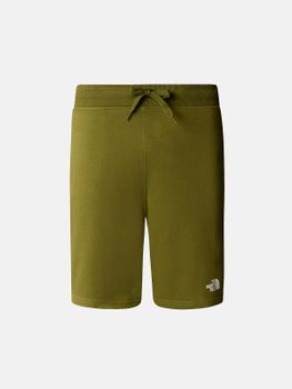 Short The North Face Standard Light Green