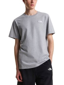 T-Shirt The North Face Evolution Simple Dome Grigio