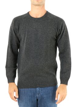 Sweater Alan Paine Lenzie Grey