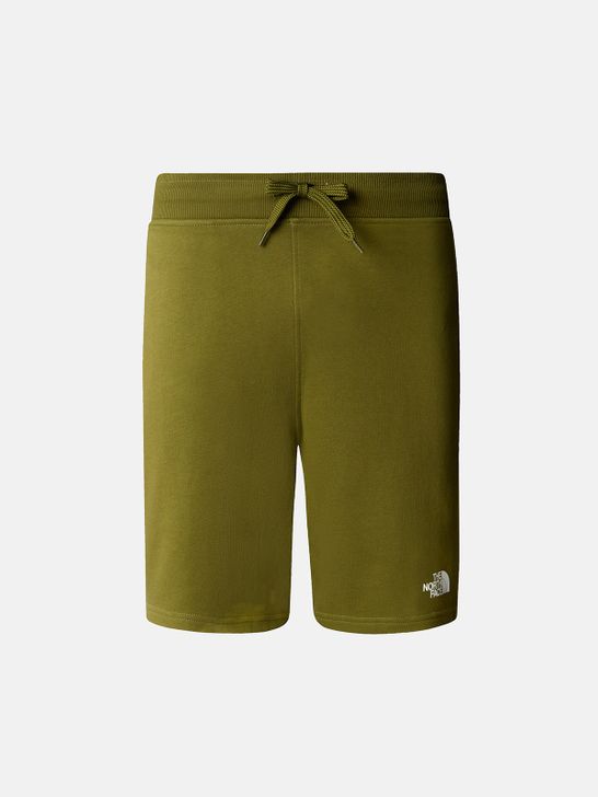 short-the-north-face-standard-light-green
